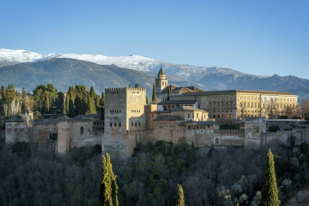 vista panoramica sul Palazzo dell'Alhambra e Carlo V con un primo piano di vegetazione e uno sfondo di montagne innevate
,  - Foto, immagini