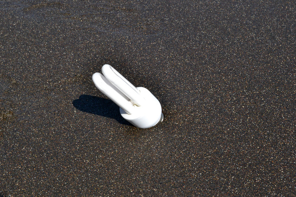 weiße Zwiebel im Sand - Foto, Bild
