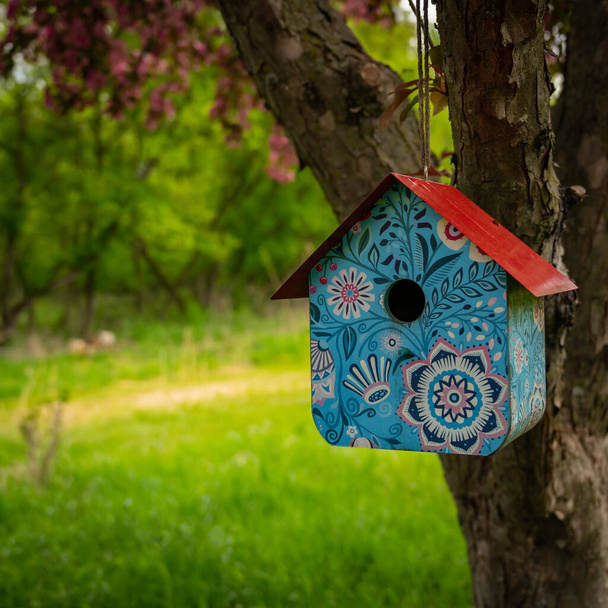 Birdhouse with a bit of Whimsy painted on it - Фото, изображение