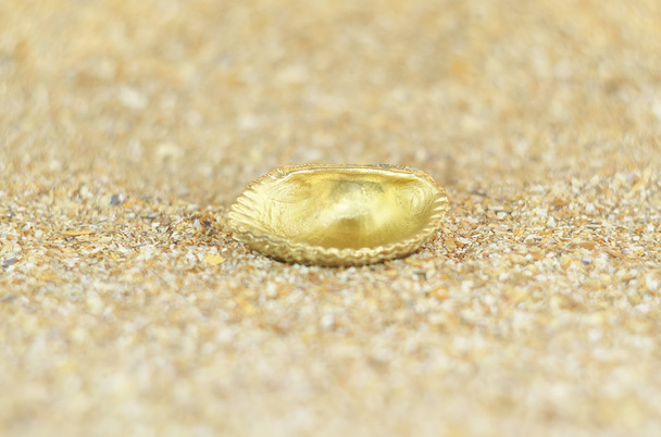 Gouden shell - Foto, afbeelding