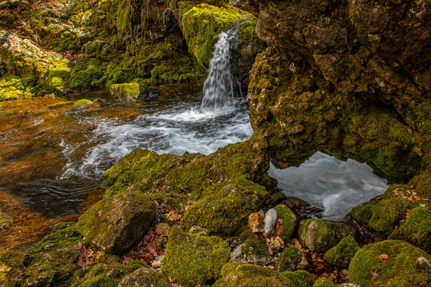 Waterfalls or river Kropa near Voje, Bohinj valley - Photo, Image