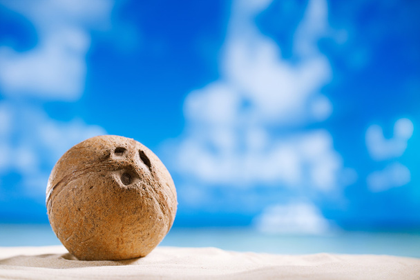 kokos met zee, strand en zeegezicht - Foto, afbeelding
