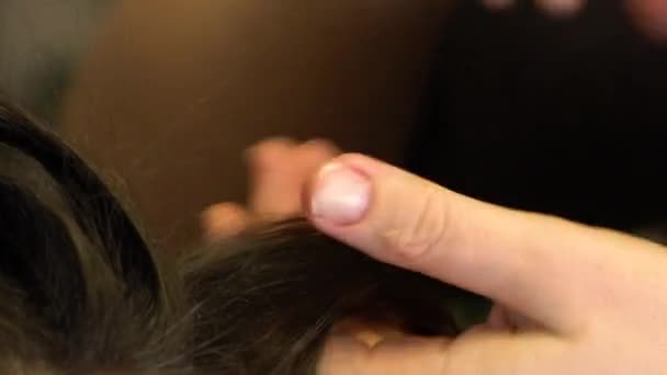 Kuaför bir tutam kızın saçını elinde tutuyor ve nazikçe okşuyor. - Video, Çekim