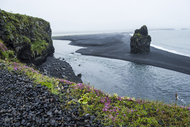 Черный вулканический песок на южном побережье Исландии
 - Фото, изображение