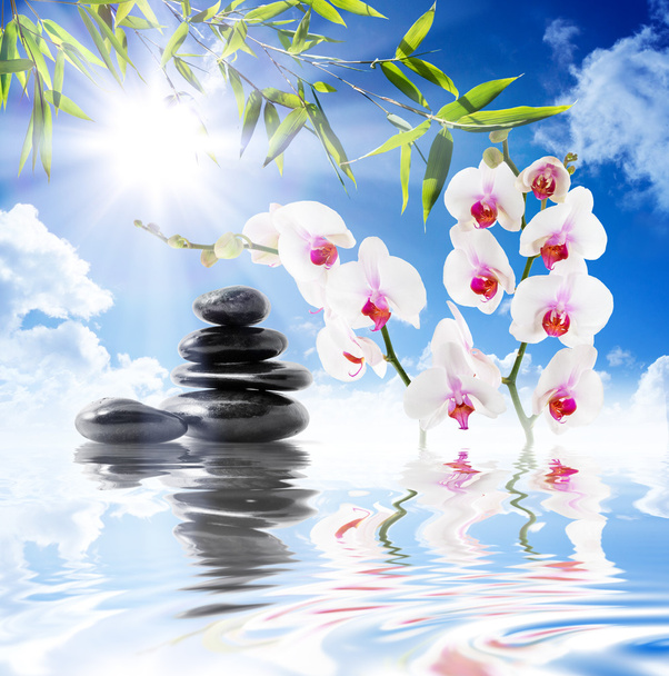 obloha, slunce, bílé orchideje, bambus na vodě - Fotografie, Obrázek