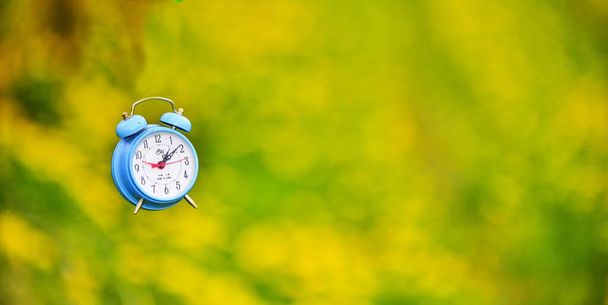 reloj despertador azul frente al fondo borroso de las flores de diente de león
 - Foto, Imagen