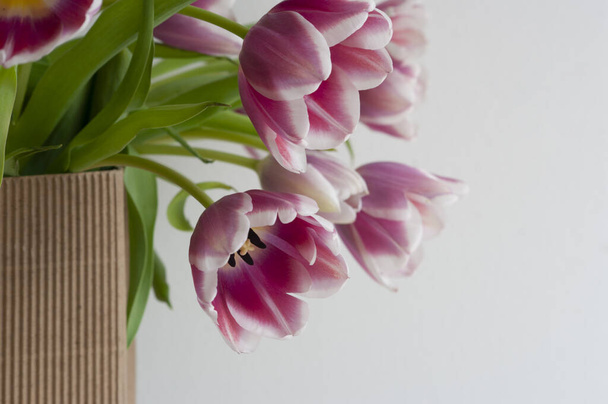 Tulipani rosa in sacchetto kraft, regalo per donna, fiori da giardino
. - Foto, immagini