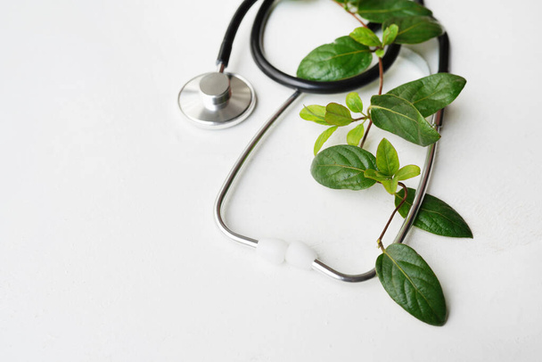 Stethoscope or phonendoscope with greenery on white textured background with a copy space - Foto, afbeelding