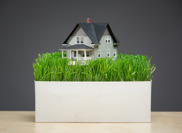 modelo de casa com grama verde
 - Foto, Imagem