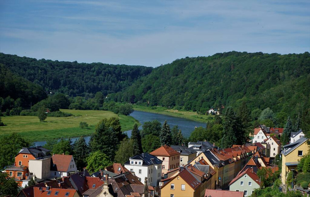 Stadt Wehlen,ドイツのエルベ川と住宅を見下ろす - 写真・画像