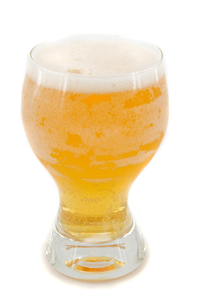 Beer - Photo, Image