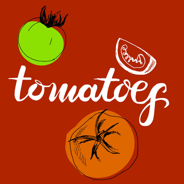Calligraphy word tomatoes and sketched tomatoes - Vektori, kuva