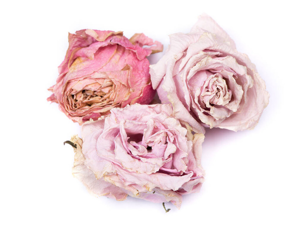 gedroogde rozenknoppen geïsoleerd op witte achtergrond - Foto, afbeelding