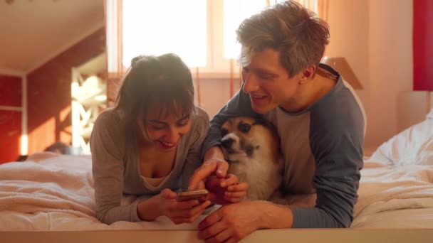 krásný pár ležící na posteli v ložnici s roztomilým velšským Corgi psem - Záběry, video