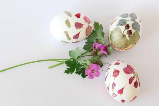 Easter eggs hand made decoration via decoupage technique by herbaceous flowers and leaves and color paper. - Photo, Image