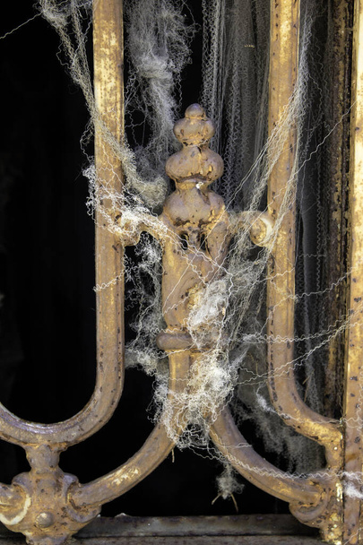 Spinnennetz mit Spinnenwand, Insekten und Schmutz, Bakterien - Foto, Bild