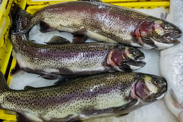 Trout, salmon in a box at the fishing market. Selling fresh food. Seafood, delicacy. Gourmet cuisine. - Photo, Image