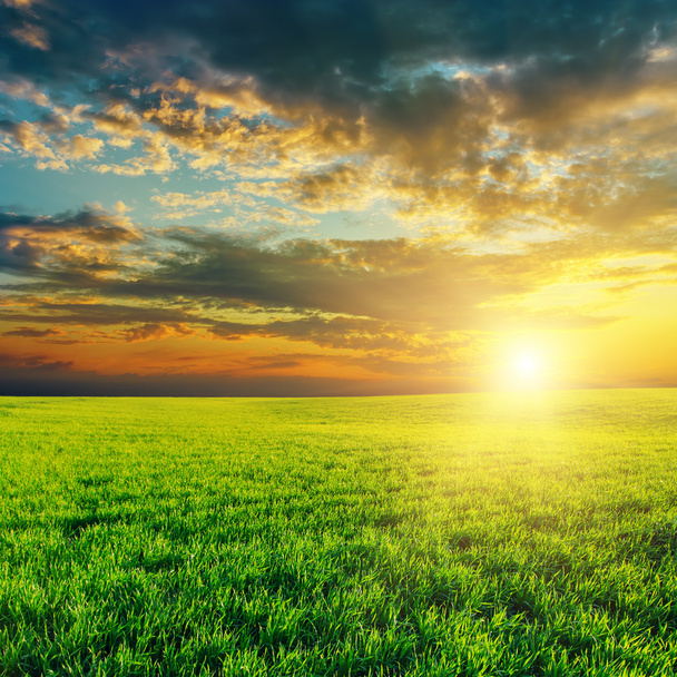 puesta del sol y el campo de la agricultura verde - Foto, Imagen