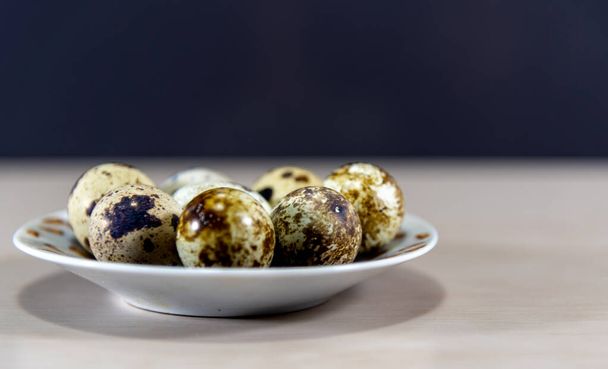 Quail eggs in a porcelain saucer. Considered a delicacy in many parts of the world, the quail egg is very tasty and rich in protein. - Zdjęcie, obraz