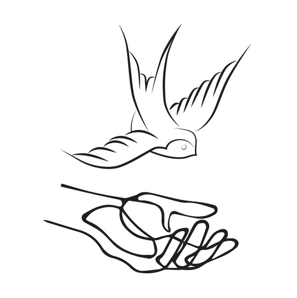 Mão, segurando, engolir, pássaro, vetor, ilustração
 - Vetor, Imagem