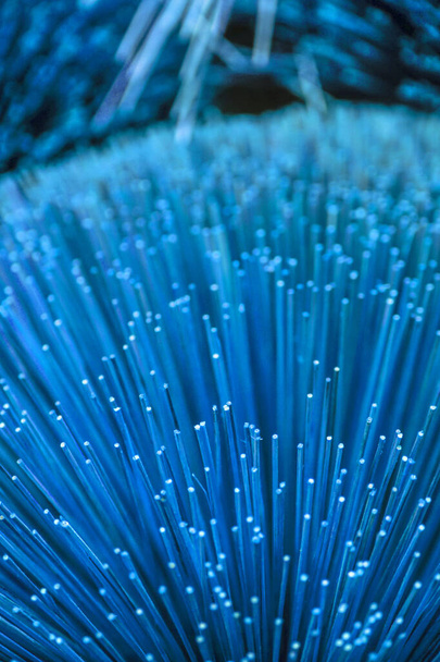 Blue color incense sticks texture background. Close-up of bundles of traditional Vietnamese colorful incense sticks - Φωτογραφία, εικόνα