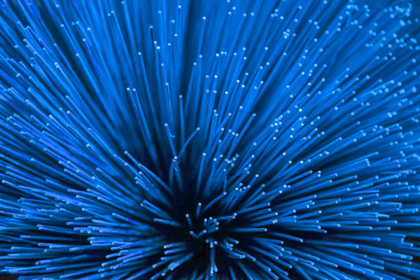 Blue color incense sticks texture background. Close-up of bundles of traditional Vietnamese colorful incense sticks - Photo, Image
