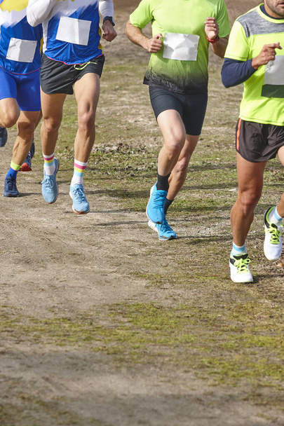 Bir yarışta kros koşucuları. Aktif sağlıklı açık hava yaşam tarzı - Fotoğraf, Görsel