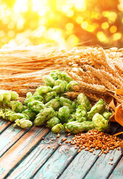 Luppolo verde, malto, spighe di orzo e grano, ingredienti per fare birra e pane, sfondo agricolo - Foto, immagini