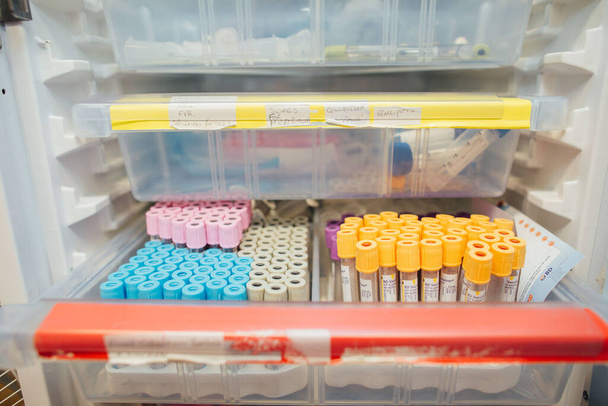 Blutkonserven warten darauf, in einer medizinischen Schublade verwendet zu werden - Foto, Bild