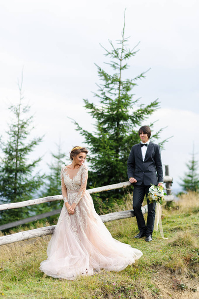 Esküvői fotózás két személyre a hegyekben. - Fotó, kép