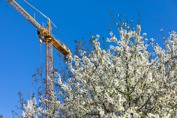 Jarní a novostavba domu. Stavební jeřáb s jarními kvetoucími stromy a modrou oblohou za slunečného dne - Fotografie, Obrázek