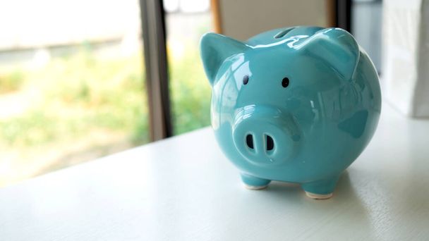 piggy bank isolate in white background. saving money for future. - Photo, Image