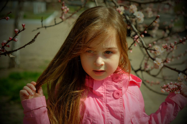 malá dívka v růžových šatech procházející se v parku u kvetoucího stromu. Holčička v růžovém saku u kvetoucího stromu. Koncept přišel na jaře. Dívka s dlouhými vlasy. Dítě na procházce. - Fotografie, Obrázek