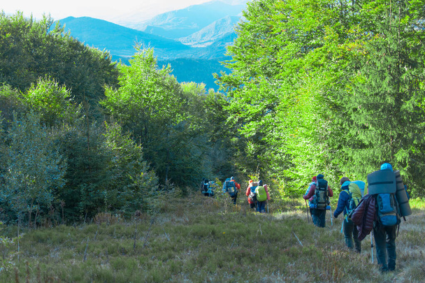 Carpathians, Ukraine- September 29, 2018: A group of tourists with backpacks goes hiking. - Фото, зображення