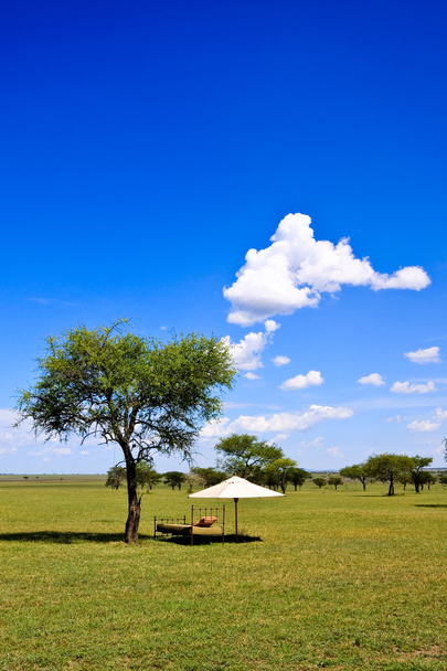 Lieu de repos dans la savane africaine
 - Photo, image