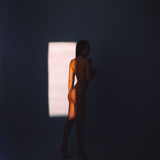 In the evening, a young beautiful girl is alone in an empty studio, she has almost no clothes on her, she is naked, the setting sun through the windows falls on her body and gives off Shadows and contours - Zdjęcie, obraz