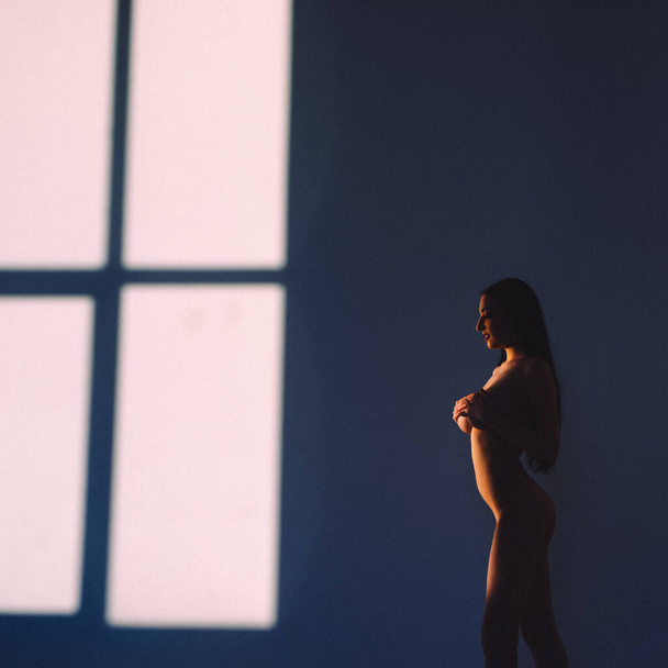 In the evening, a young beautiful girl is alone in an empty studio, she has almost no clothes on her, she is naked, the setting sun through the windows falls on her body and gives off Shadows and contours - Фото, зображення
