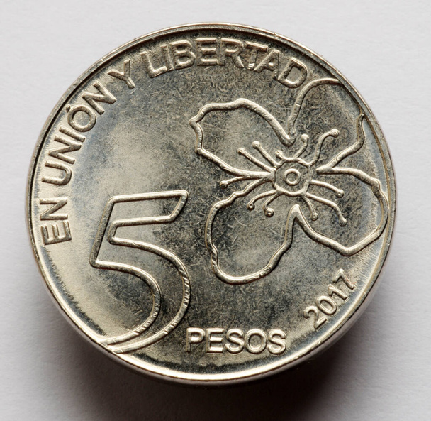 Монета аргентинських песо - Фото, зображення