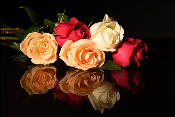 Hermosas rosas sobre fondo negro en el fotoperioestudio - Foto, imagen