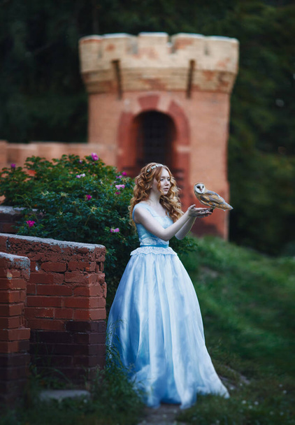 красива руда дівчина гуляє з совою на руці на тлі замку, принцеса гуляє в замку
 - Фото, зображення