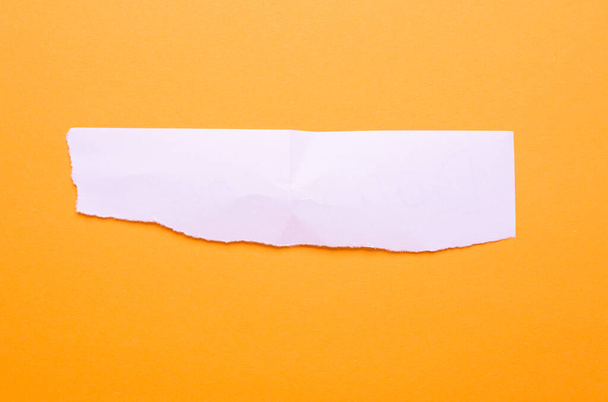 strip of white paper for inscription on a yellow background - 写真・画像