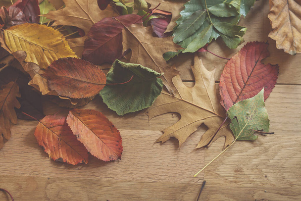 multicolor autumn leaves on a wooden table - Fotografie, Obrázek