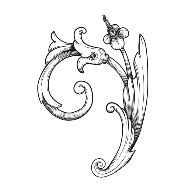 Curls and scrolls ornament for design elements. - Vector, Image
