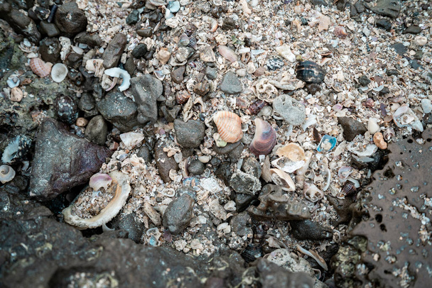 Différents types de roches et d'objets de terre de l'île St. Martins, Bangladesh
 - Photo, image