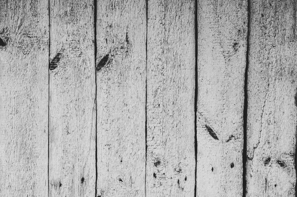 Black and white texture background wall - Photo, Image