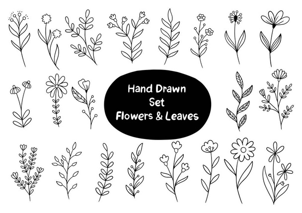 hand drawn flowers doodle Ornaments background pattern Vector illustration - Vector, Image
