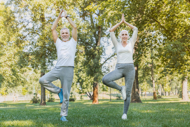 Yoga at park. Senior family couple exercising outdoors. - Photo, image