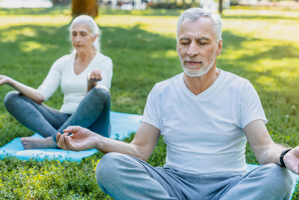 Yoga at park. Senior couple sitting in lotus pose on green grass in calm and meditation - Foto, Imagem