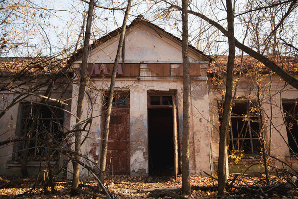 Ein sonniger, schöner Herbsttag zeigt die Ruinen von Gebäuden im Gebiet von Tschernobyl. Gefährliche Überreste sind unter einem weichen goldenen Laubteppich versteckt. so ein friedlicher Ort, der durch die globale Katastrophe geschaffen wurde - Foto, Bild