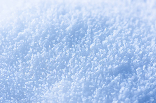 снігопад снігу в зимовому парку, зимовий фон
. - Фото, зображення